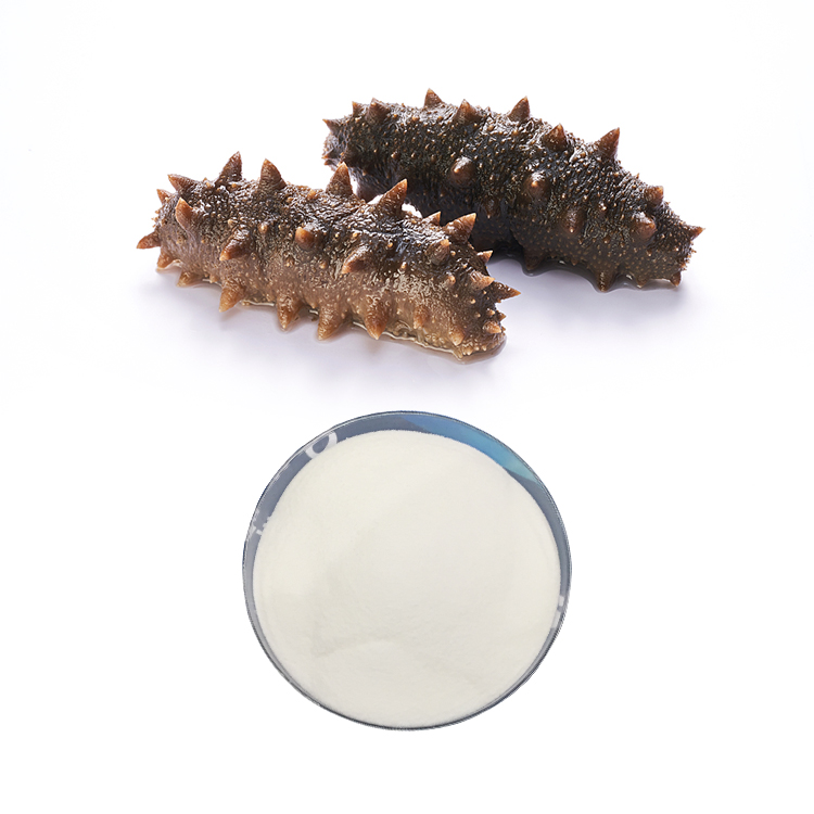 Sea Cucumber Peptide